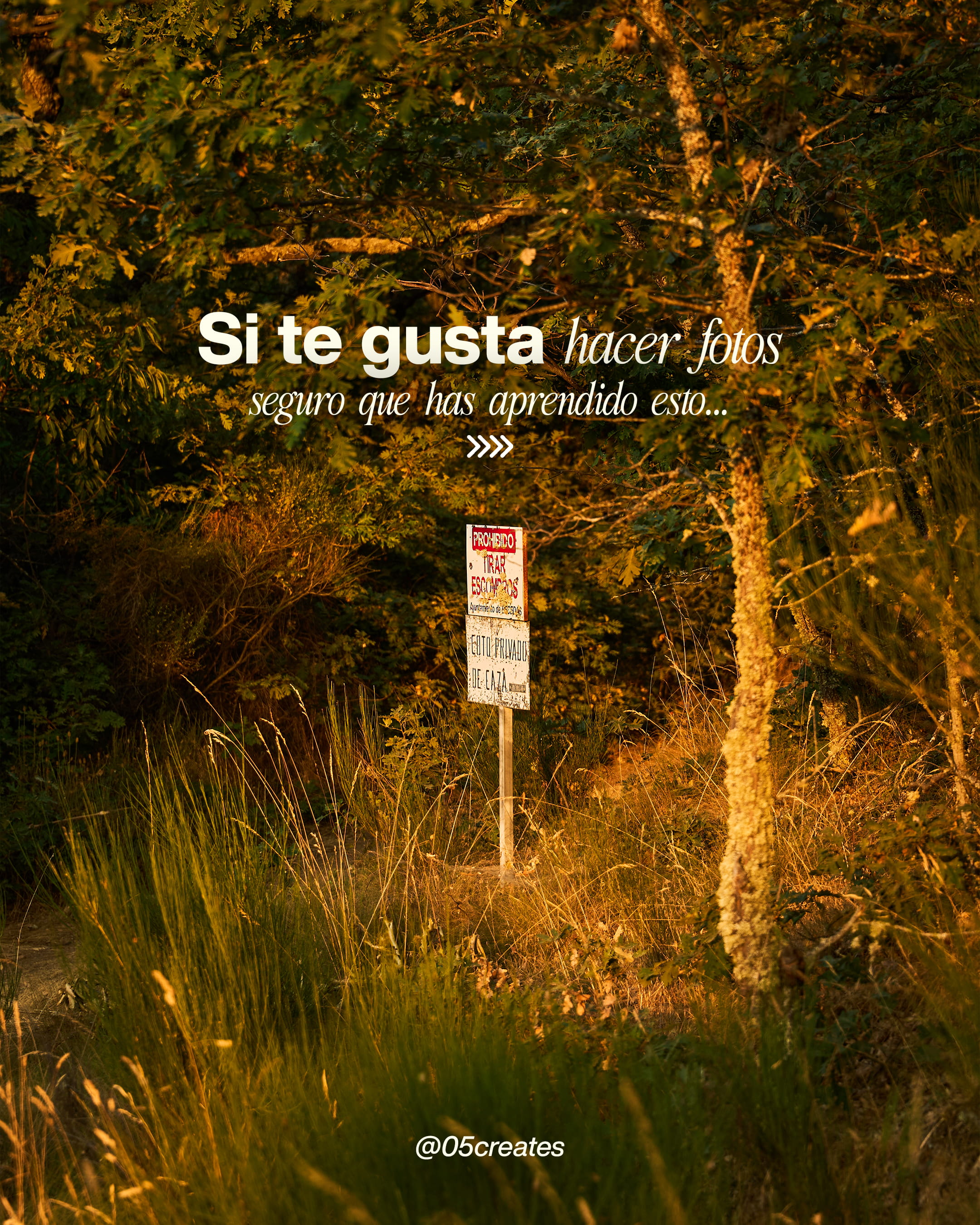 ¿Te gusta hacer fotos?